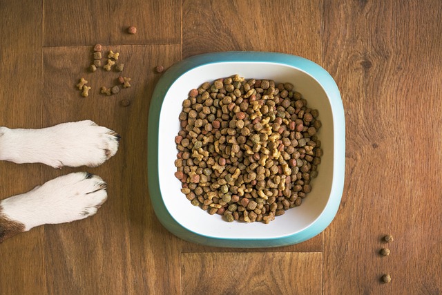 Do vets recommend kirkland dog food?