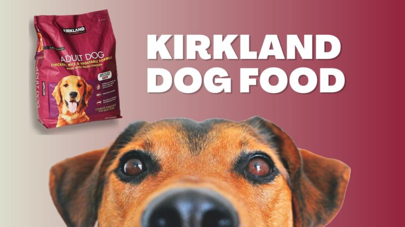 How does kirkland dog food rate?